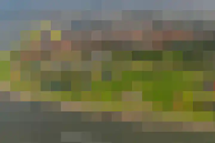Hertzogstraat 44 Den Helder thumbnail 54