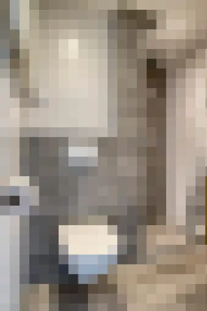Hertzogstraat 7 B Breda thumbnail 18