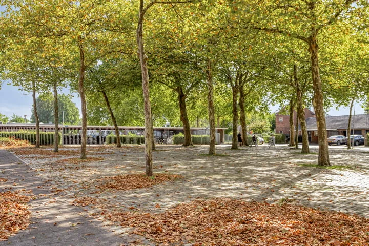 Hertzogstraat 7 B Breda thumbnail 21