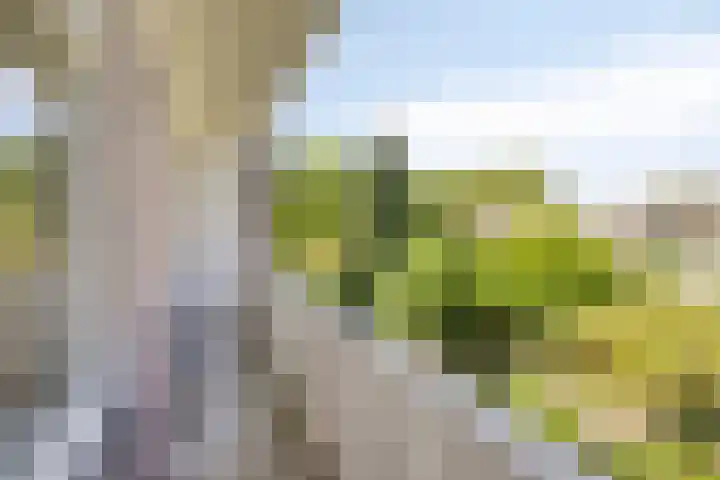 Hertzogstraat 7 B Breda thumbnail 8