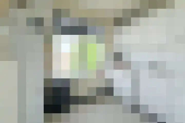 Hertzogstraat 9 B Breda thumbnail 12