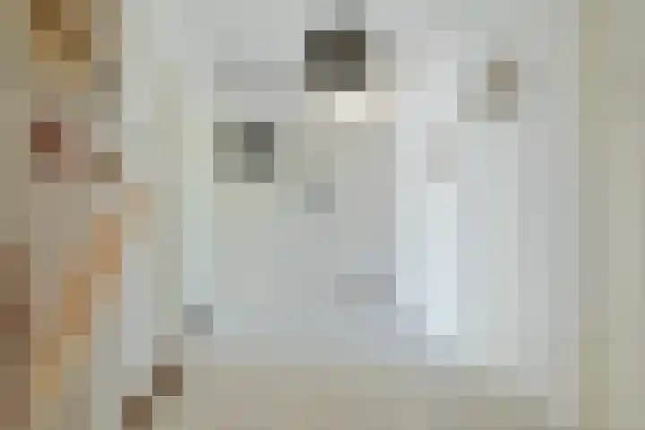 Hertzogstraat 9 B Breda thumbnail 23
