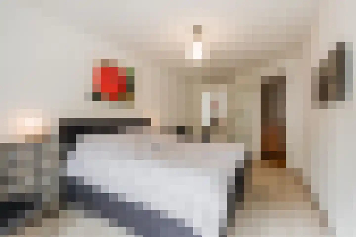 Hertzstraat 5 Amsterdam thumbnail 18