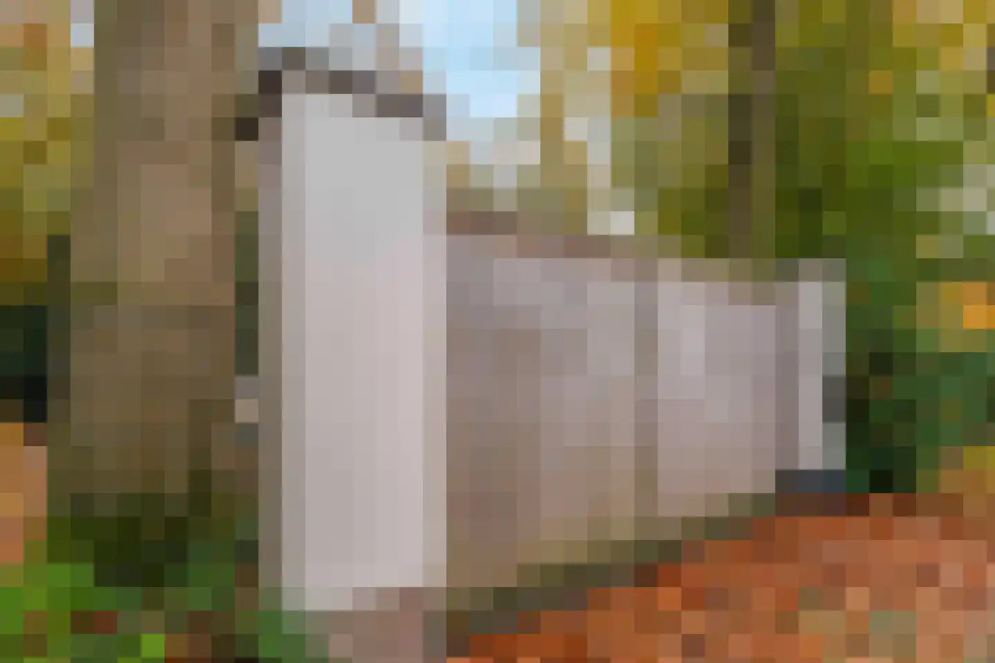 Herungerberg 367 Venlo thumbnail 30