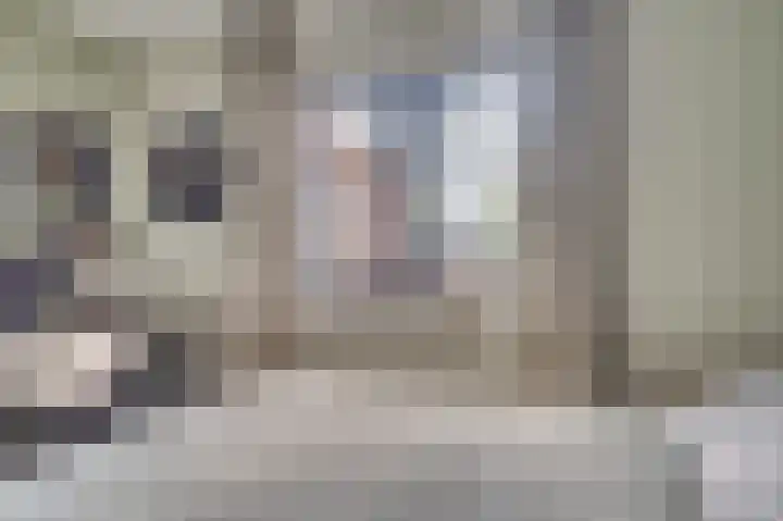 Herungerstraat 180 Venlo thumbnail 34