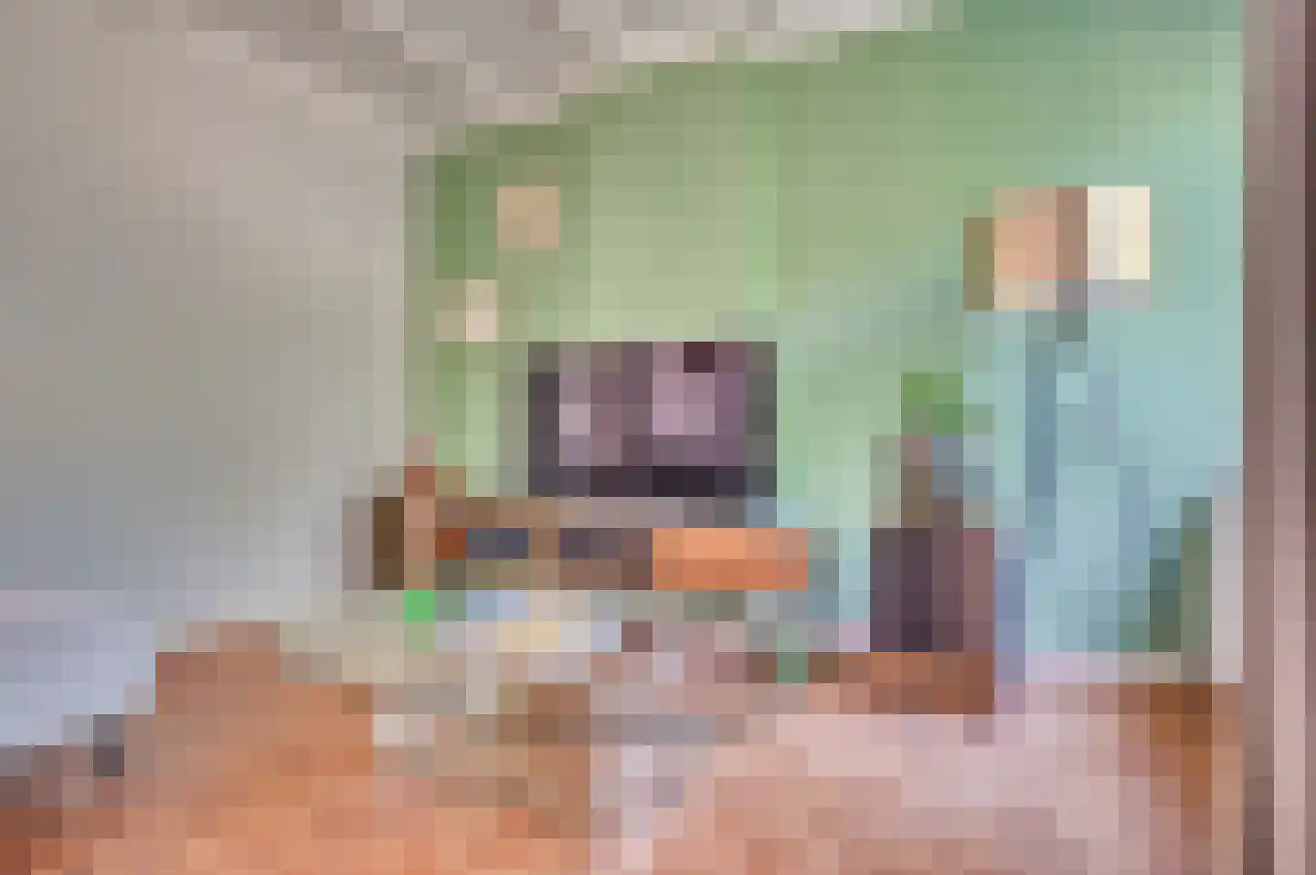 Herungerstraat 2 Venlo thumbnail 15