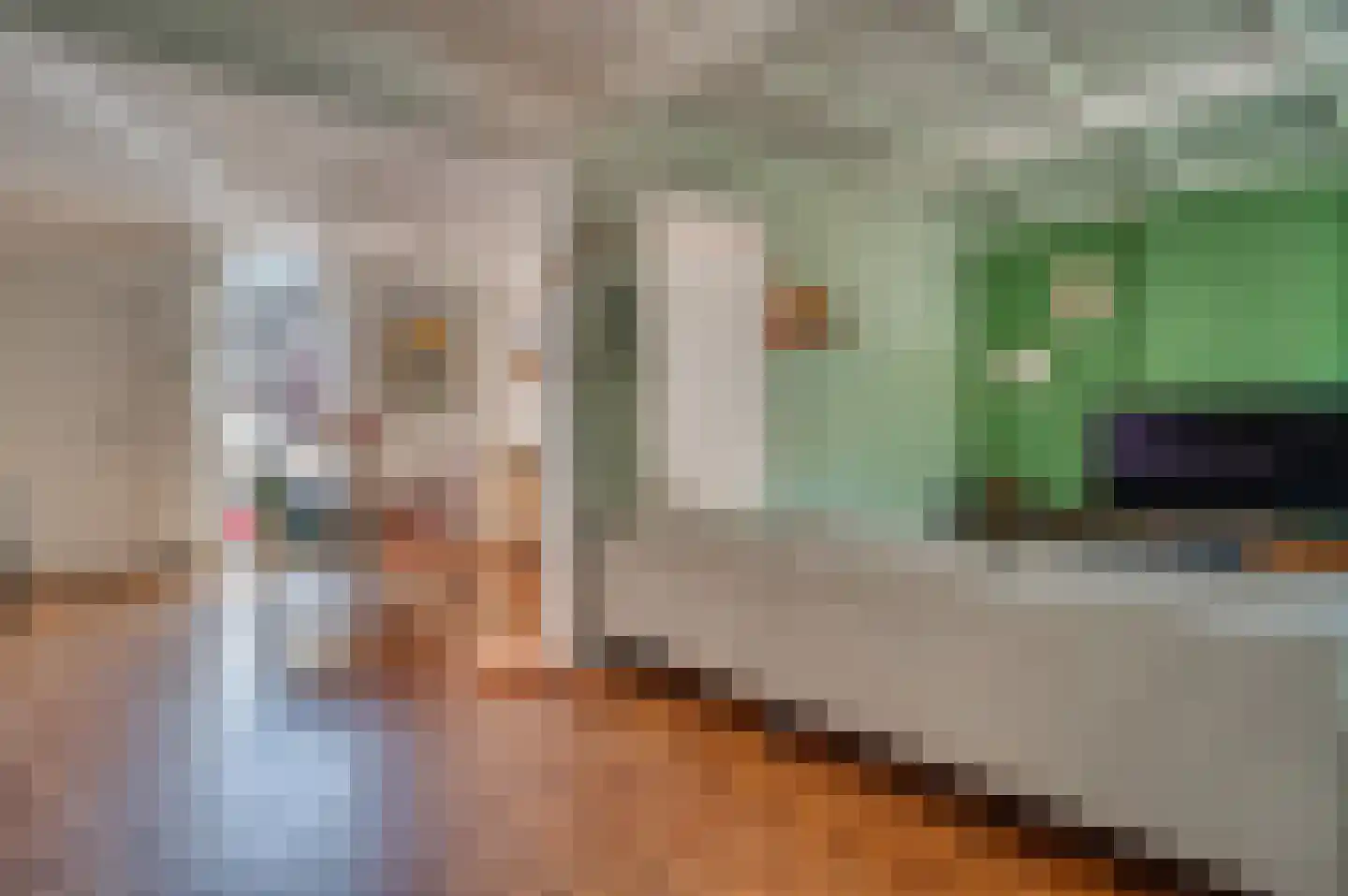 Herungerstraat 2 Venlo thumbnail 19