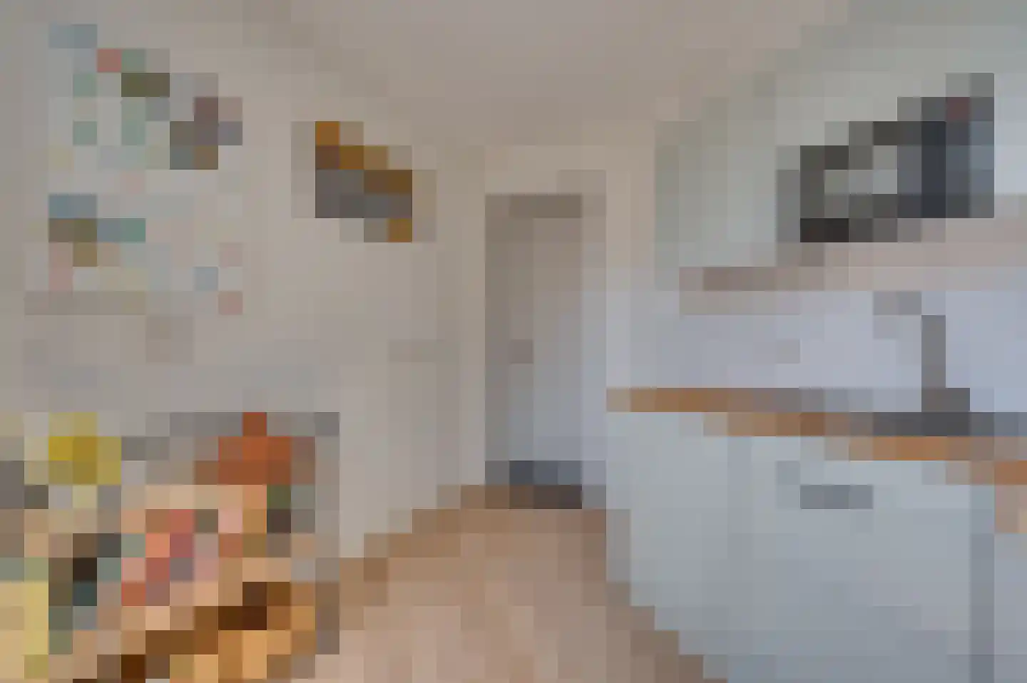Herungerstraat 2 Venlo thumbnail 32