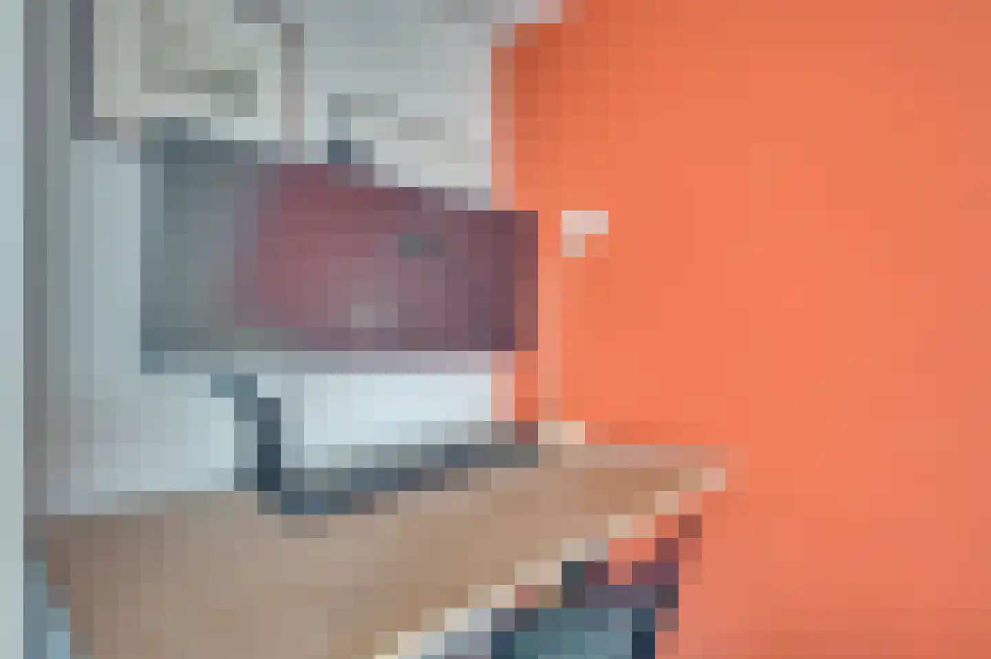 Herungerstraat 2 Venlo thumbnail 37