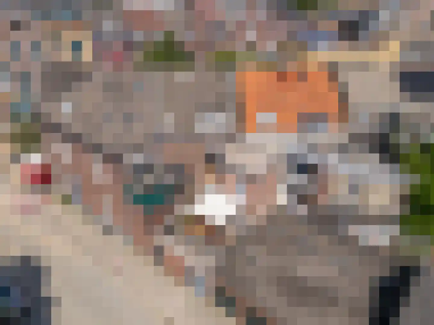Herungerstraat 2 Venlo thumbnail 4