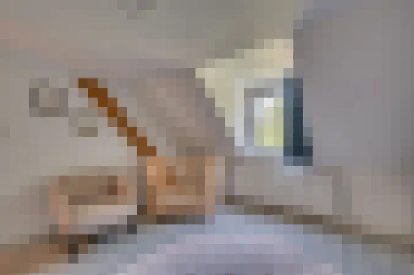 Herungerstraat 2 Venlo thumbnail 40