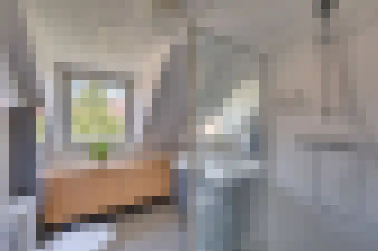 Herungerstraat 2 Venlo thumbnail 42