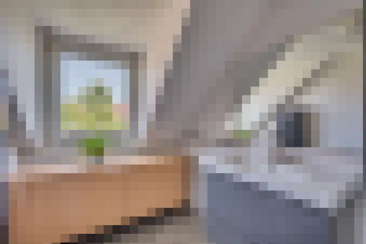 Herungerstraat 2 Venlo thumbnail 43