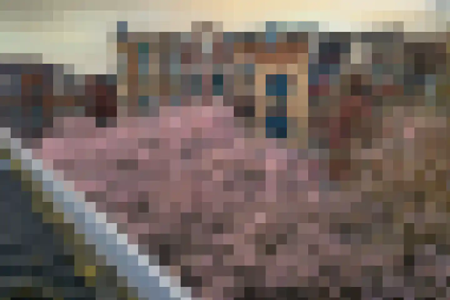 Herungerstraat 2 Venlo thumbnail 5