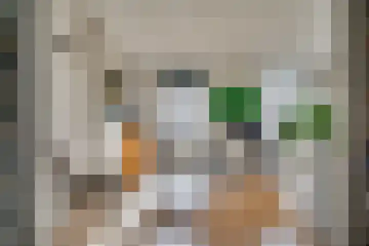 Herungerstraat 21 Venlo thumbnail 22