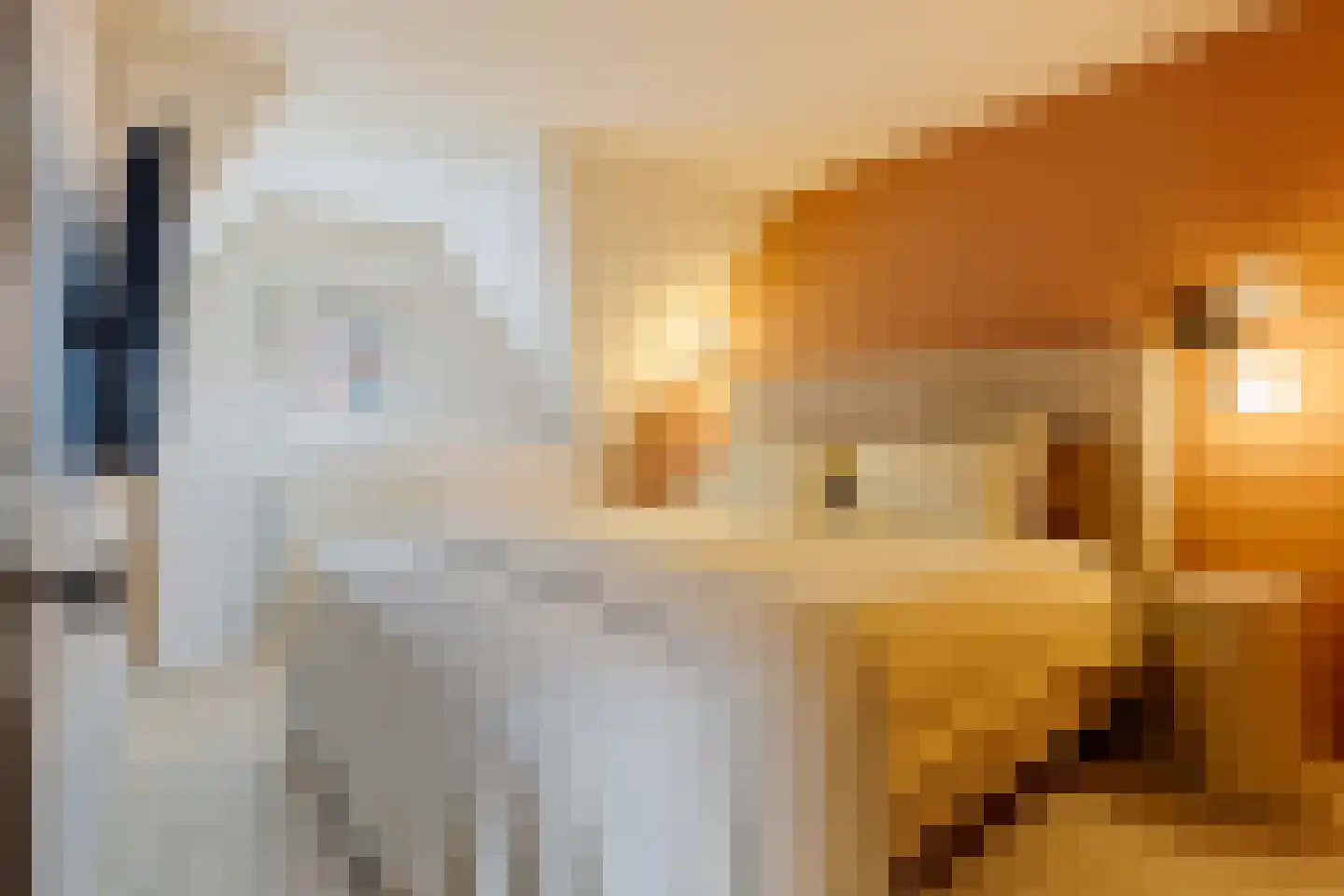 Herungerstraat 79 Venlo thumbnail 36