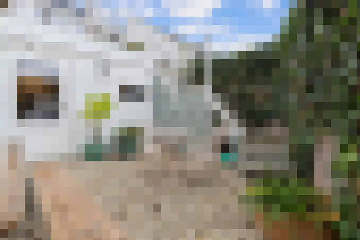 Herungerstraat 79 Venlo thumbnail 41