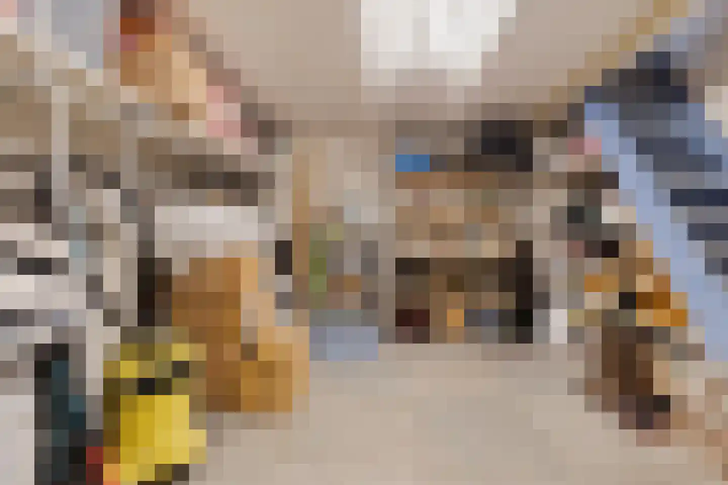 Herungerstraat 79 Venlo thumbnail 45