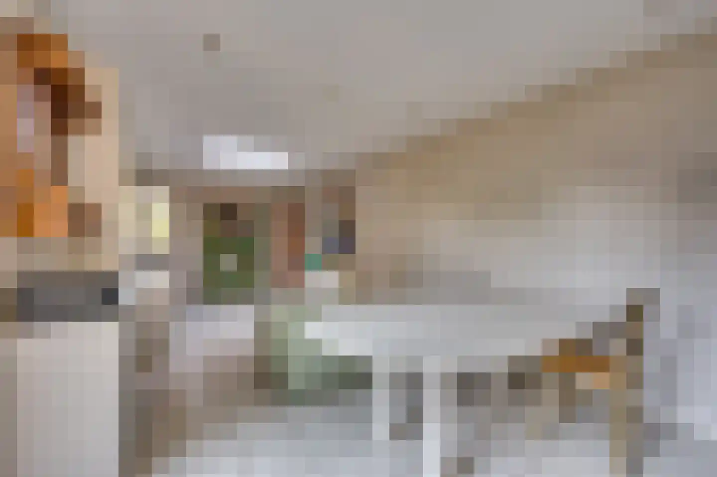 Herungerweg 187 Venlo thumbnail 18