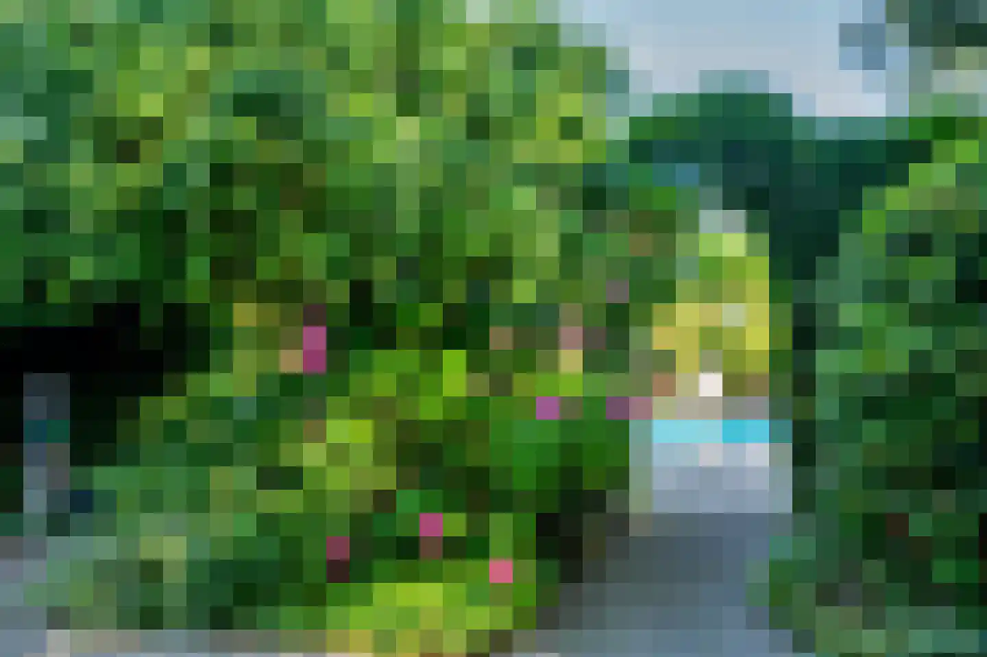 Herungerweg 187 Venlo thumbnail 63