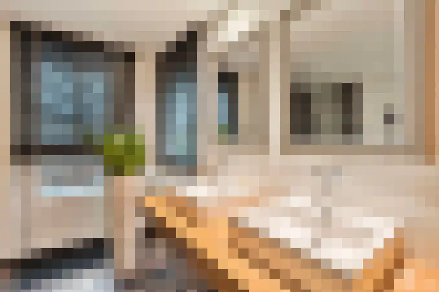 Herungerweg 197 Venlo thumbnail 17