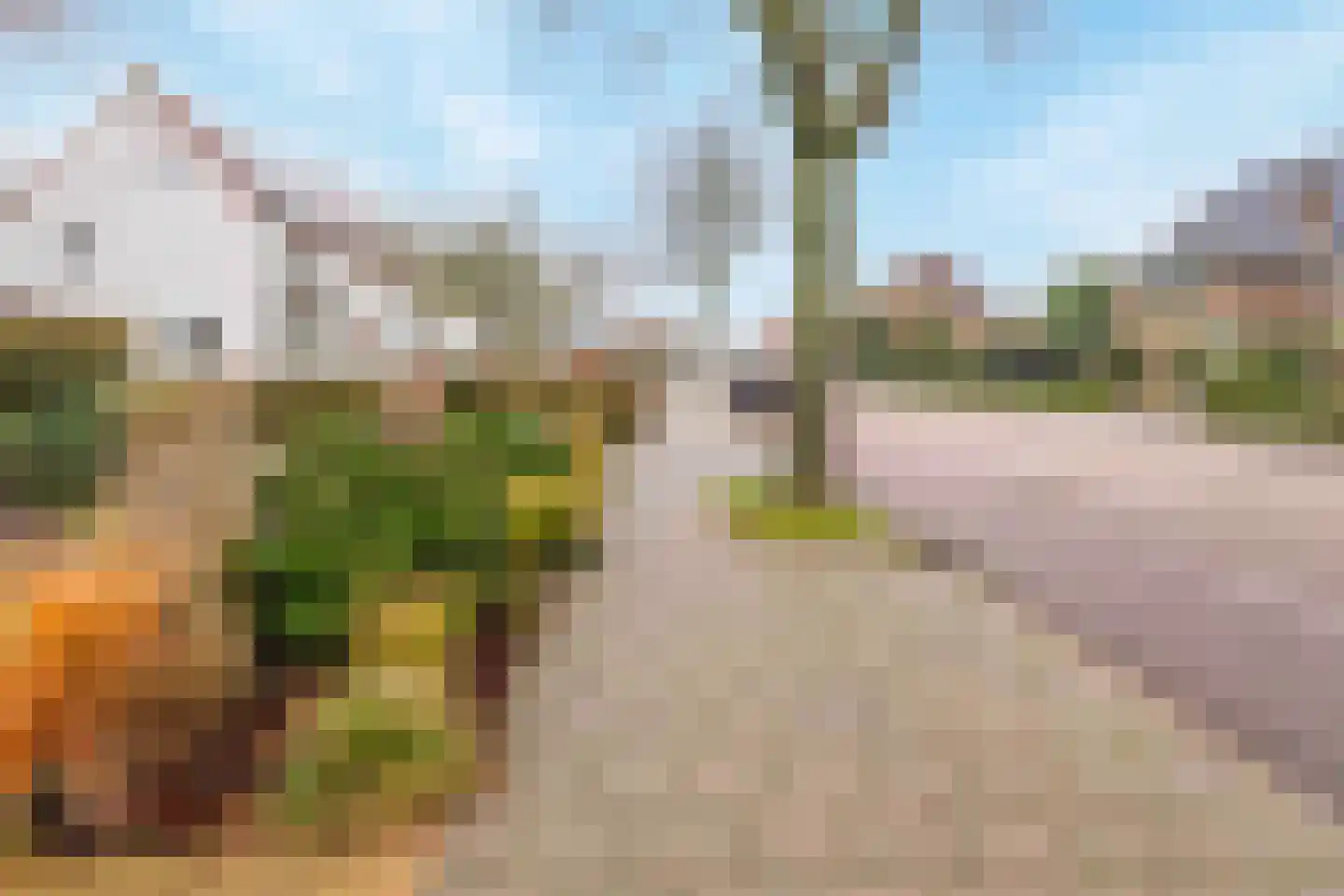 Herungerweg 197 Venlo thumbnail 30