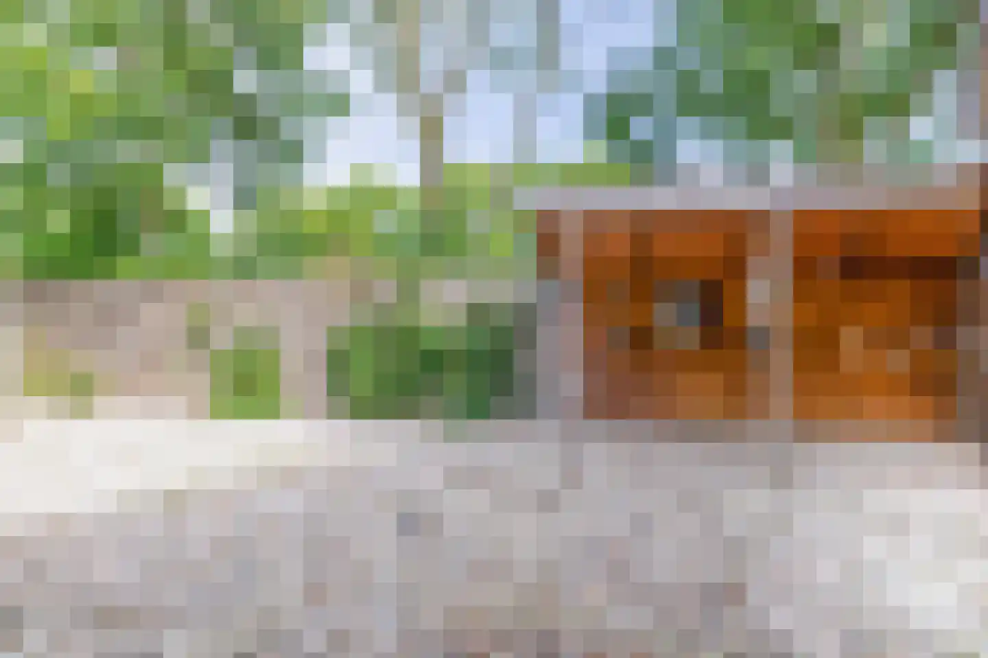 Herungerweg 261 Venlo thumbnail 11
