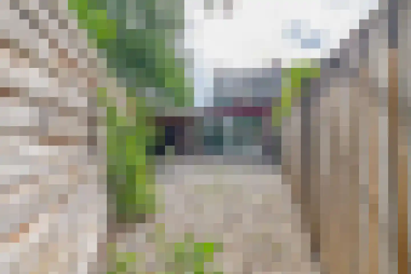 Herungerweg 261 Venlo thumbnail 13