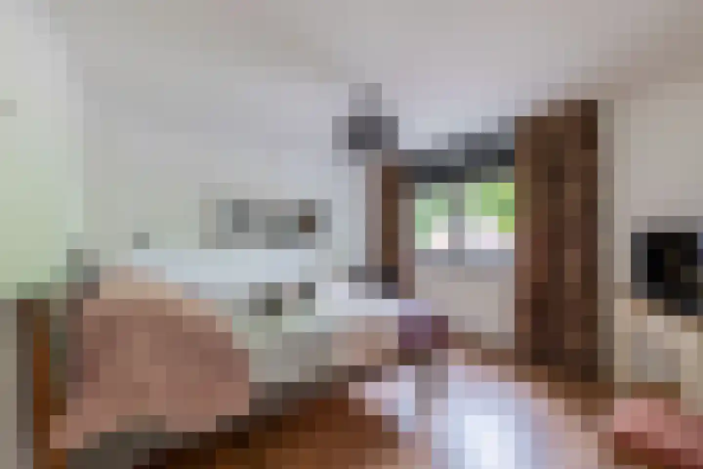 Herungerweg 261 Venlo thumbnail 16