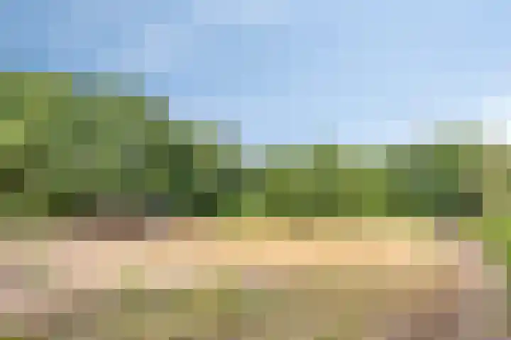 Herven 56 's-Hertogenbosch thumbnail 12