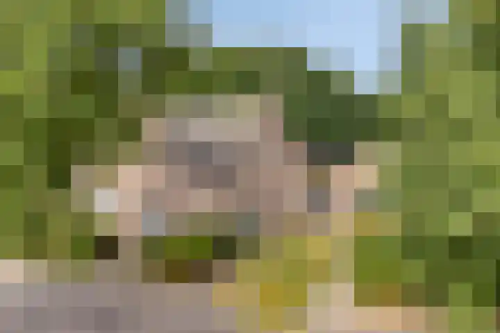 Herven 56 's-Hertogenbosch thumbnail 15