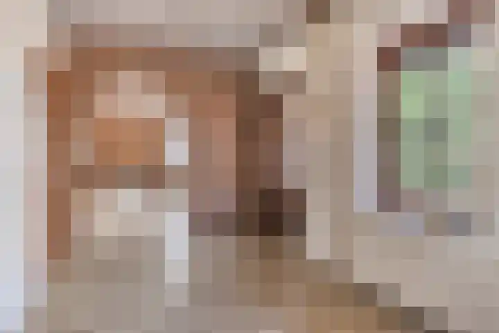 Herven 56 's-Hertogenbosch thumbnail 21