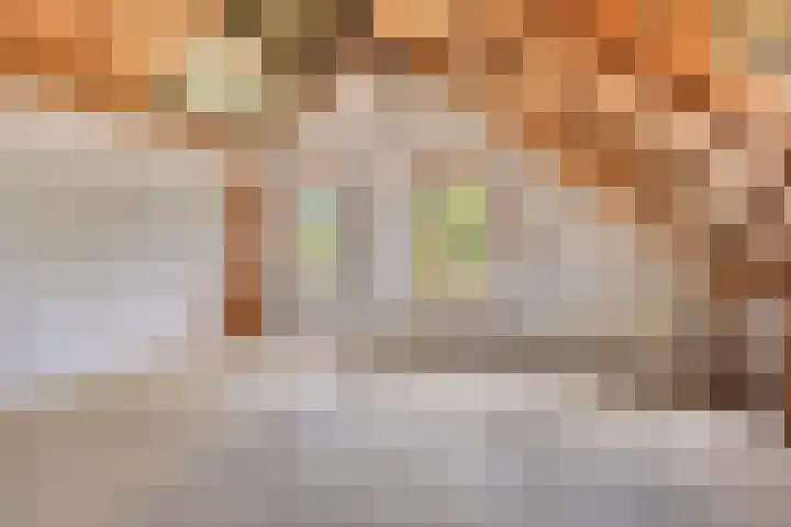 Herven 56 's-Hertogenbosch thumbnail 24