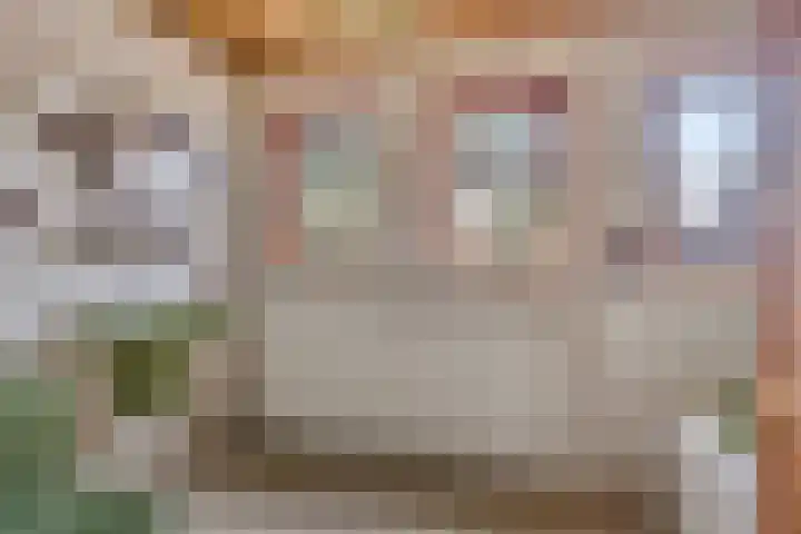 Herven 56 's-Hertogenbosch thumbnail 28