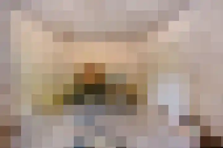 Herven 56 's-Hertogenbosch thumbnail 30