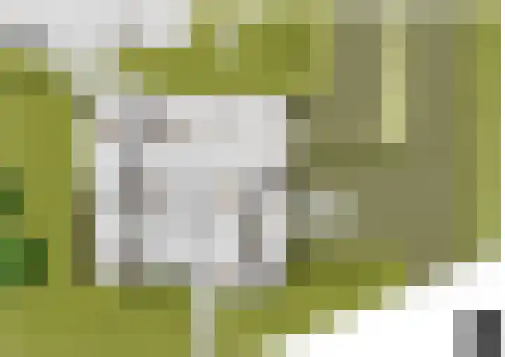 Herven 56 's-Hertogenbosch thumbnail 36