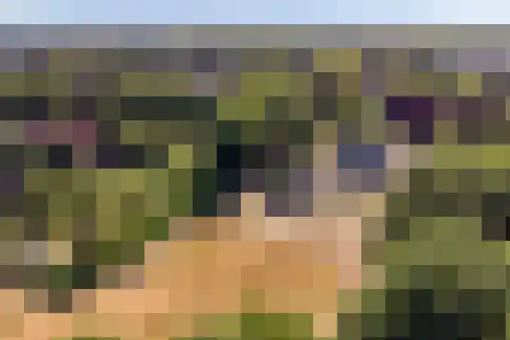 Herven 56 's-Hertogenbosch thumbnail 4