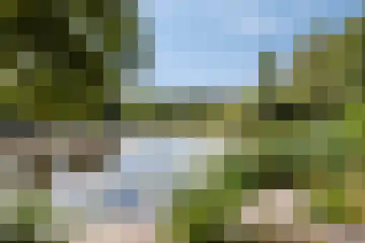 Herven 56 's-Hertogenbosch thumbnail 42