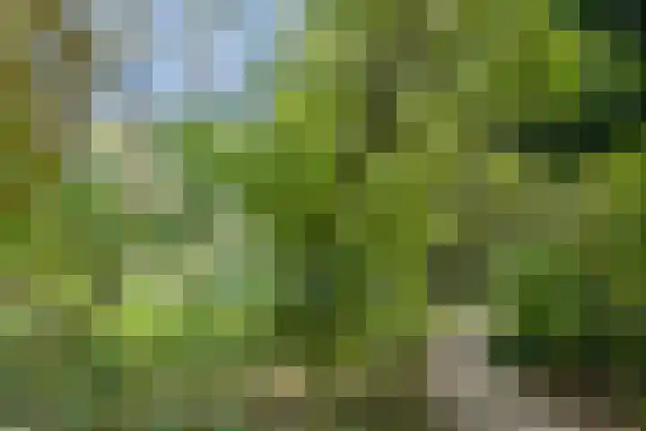 Herven 56 's-Hertogenbosch thumbnail 43
