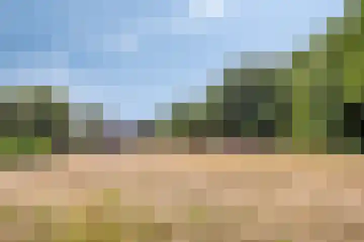 Herven 56 's-Hertogenbosch thumbnail 5