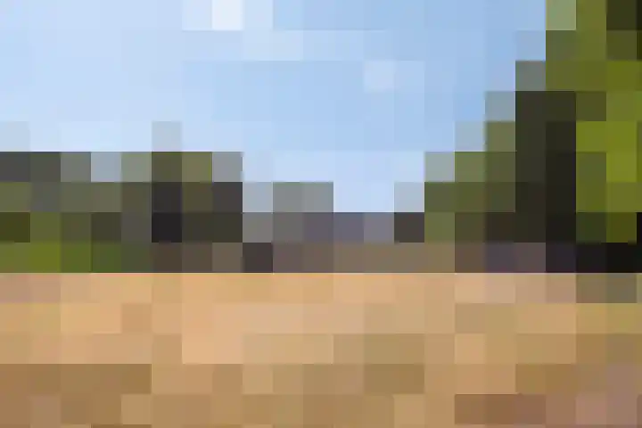 Herven 56 's-Hertogenbosch thumbnail 6