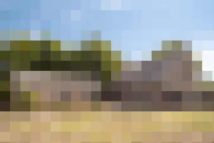 Herven 56 's-Hertogenbosch thumbnail 8