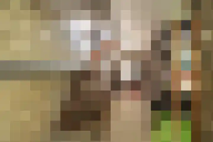 Herver 18 Bocholtz thumbnail 21