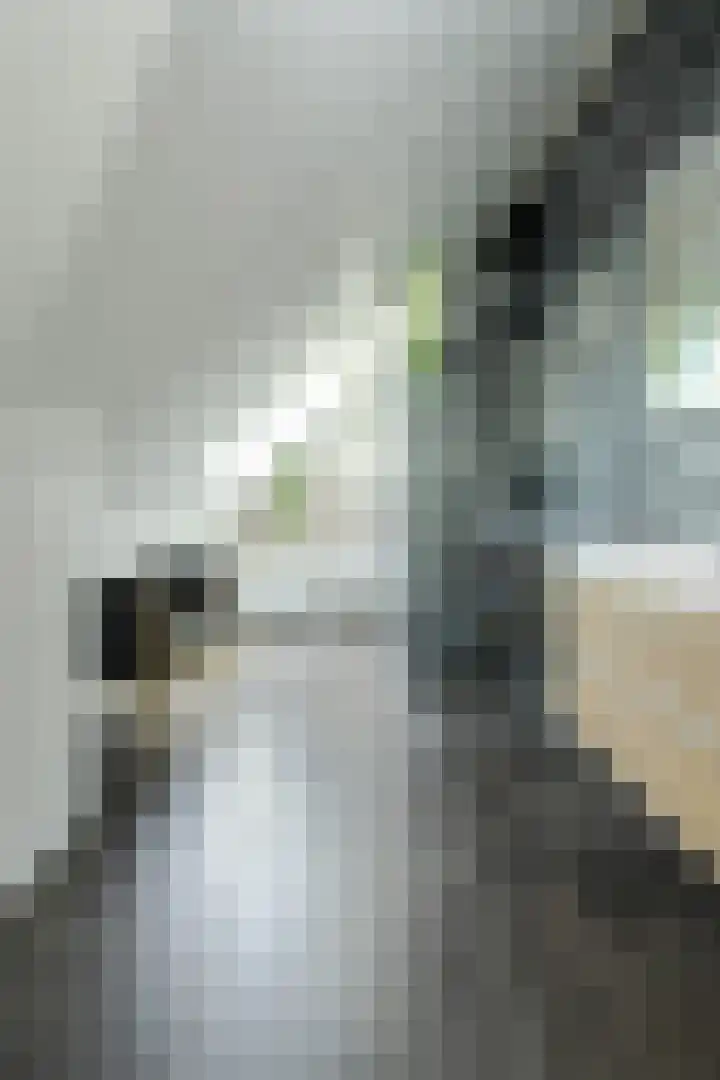 Herweg 2 Oosterhout thumbnail 33