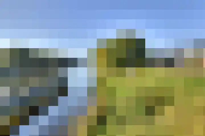 Herweg 2 Oosterhout thumbnail 43