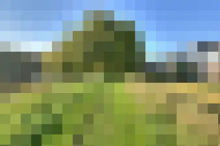 Herweg 2 Oosterhout thumbnail 44