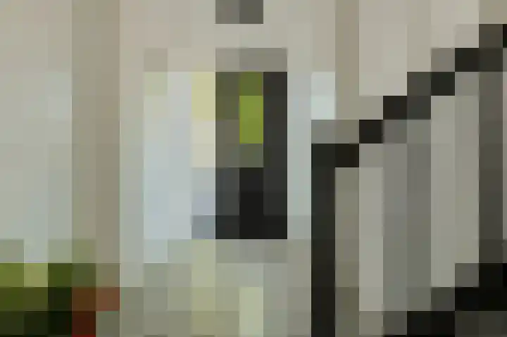 Herweg 2 Oosterhout thumbnail 7