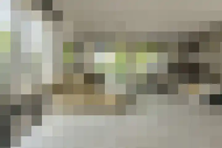 Herweg 2 Oosterhout thumbnail 9