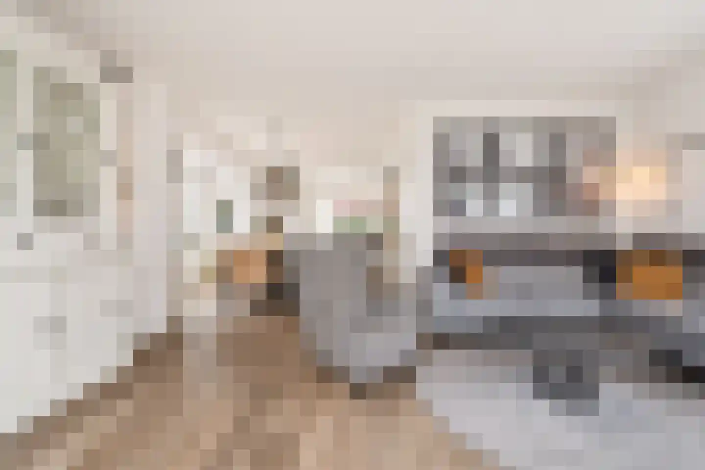Herweg 8 Oosterhout thumbnail 10
