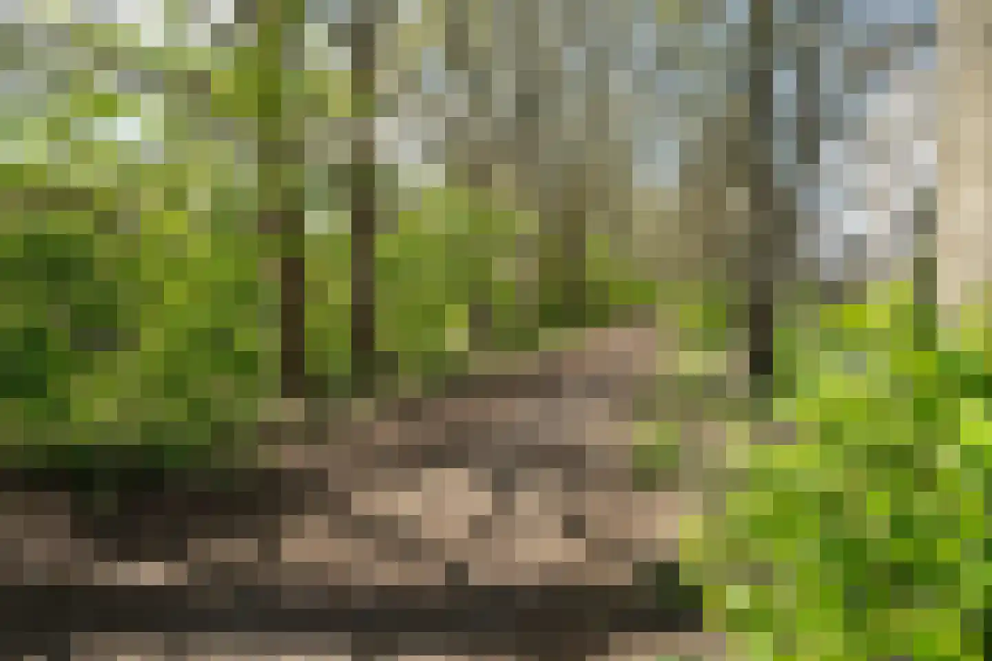 Herweg 8 Oosterhout thumbnail 49